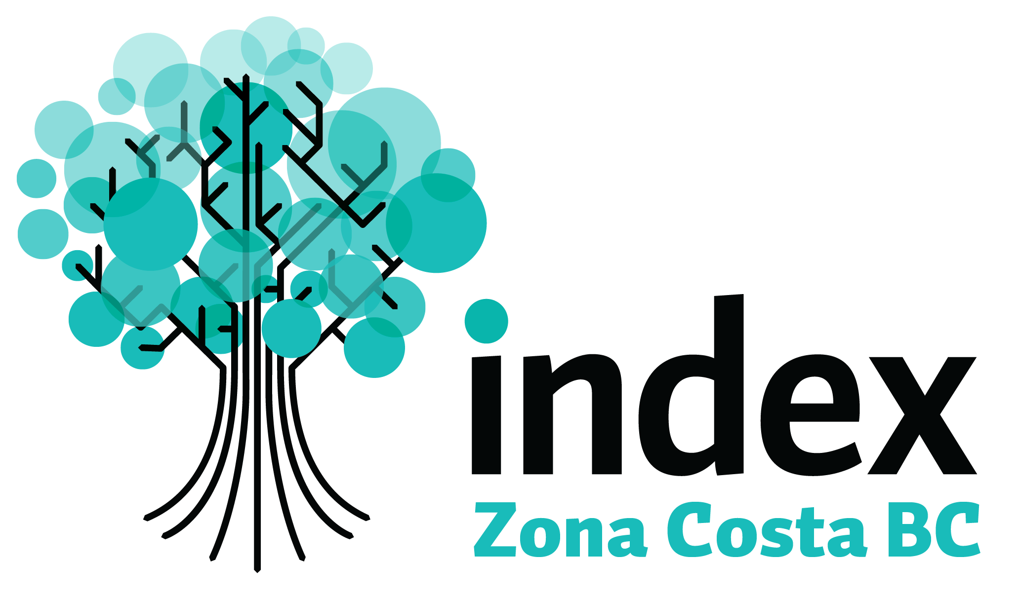 Index Zona Costa BC